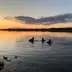 Tres buceadores con equipo completo nadan en un lago al atardecer, el cielo es naranja y p&uacute;rpura, con piedras y un poste de muelle en primer plano.