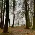 Sendero de parque en oto&ntilde;o con &aacute;rboles altos, hojas ca&iacute;das y un lago al fondo, dos personas caminan por el sendero.