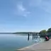 Un hombre con camiseta roja se agacha en la orilla de un lago, observando a dos cisnes nadar; muelle con barcos y farolas al fondo bajo un cielo azul.